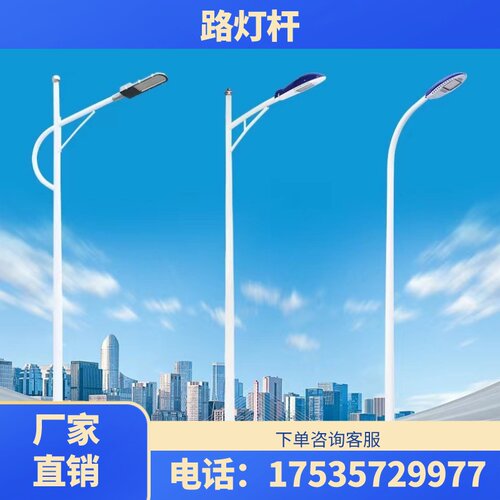 路灯米杆双臂户外小区道