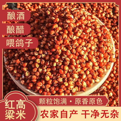 新红高粱带皮米颗粒饱满