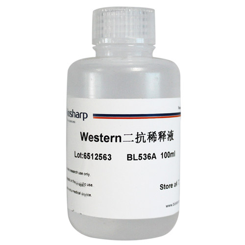 Biosharp BL536A Western 二抗稀释液 100ml 二抗的稀释和配制