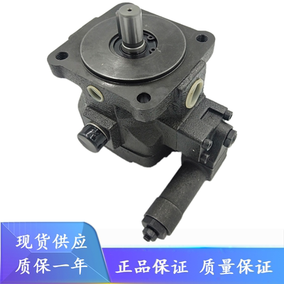 台湾弋力变量叶片泵液压