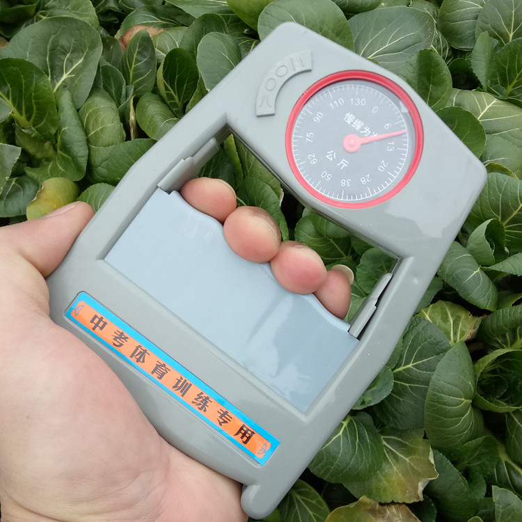 中考体育训练专用握力表