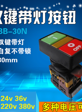 双位钮PPBB-30N 方形双头式 带灯按钮开关按钮 自复开关 铜件