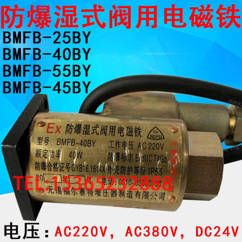 防爆湿式阀用电磁铁 BMFB-40BY 25BY 55BY 8GY BMFB-37GY 45BY