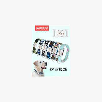 DogCollarNameIPetTs
