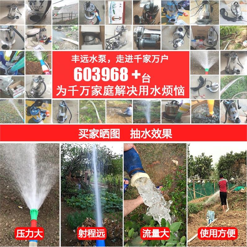 德国进口丰远直流电动车