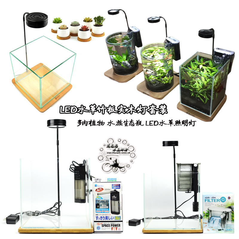 微景观多肉植物灯水族生