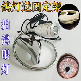 拍鸽眼灯摄影灯1000倍拍鸽眼神器高清鸽眼拍照鸽眼放大镜看鸽子灯