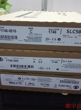 议价1746-NI8 Rockwell  SLC500 505 PLC 1746NI8