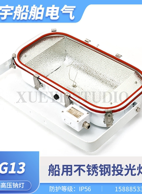 船用海星不锈钢投光灯TG13探照灯E40高压钠灯1000W整流器远程强光