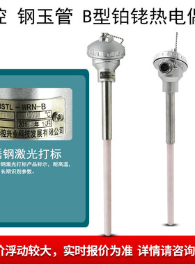 华控钢玉B 型热电偶双铂铑WRN温度传感器1800度