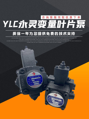 YLC永灵变量叶片泵VP1/VP2-12/15/20/30/40-20/35/55/70 液压油泵