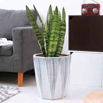 陶瓷花盆特大号带托盘多