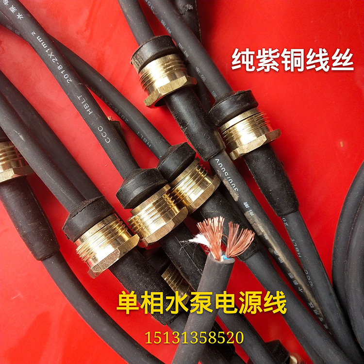 纯铜国标电源线两项插头线2*1平方二插两芯电源线带插头两孔三孔