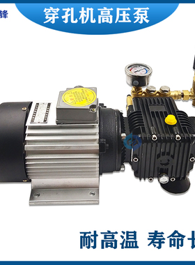 穿孔机高压水泵TZ-310型金马宝玛打孔机电泵一体机细孔放电机包邮