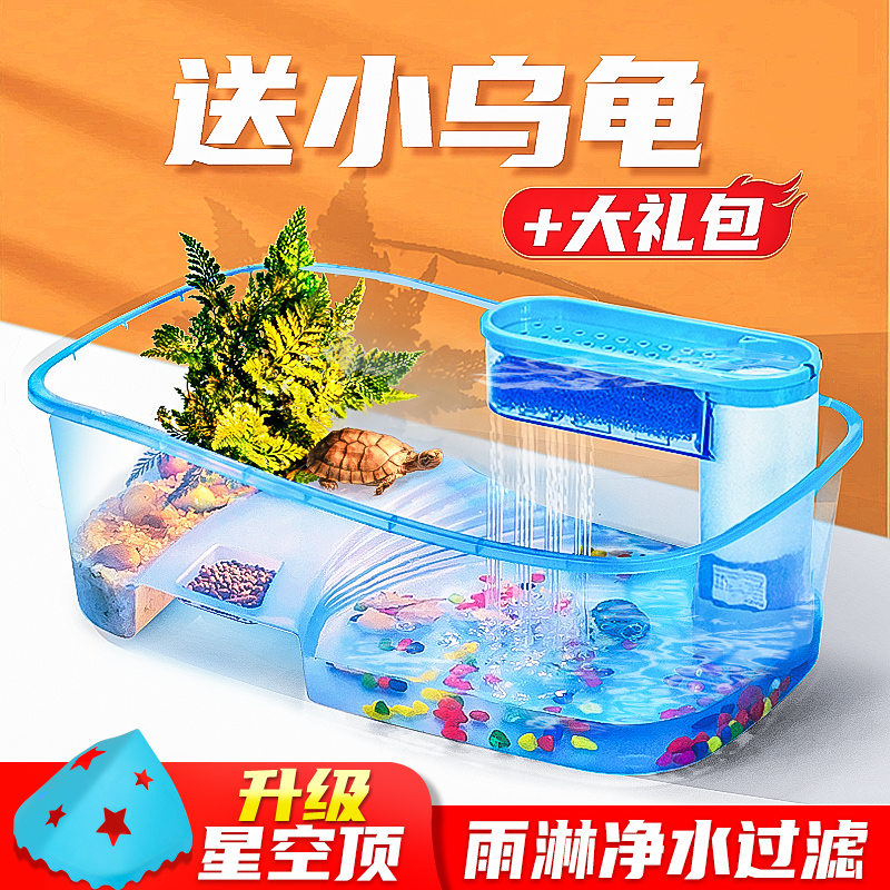 送2只小乌龟巴西龟带缸龟缸活物活体乌龟缸带晒台龟盆宠物龟草龟