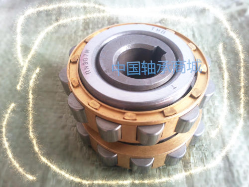 摆线针轮减速机配件圆柱滚子整体偏心轴承RN309M偏心套RN307