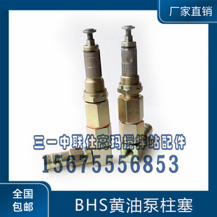 BHS主机黄油泵原装 浓油泵注油塞 泵芯 BHS搅拌机润滑油泵供油阀