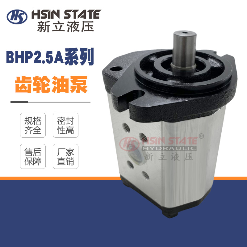 齿轮泵BHP2.5A1D45C2F1/D14/D16/D18/D20/D25/D28/D30/D36/40C2F1
