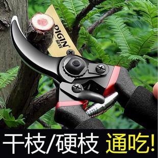 德国进口剪树枝专用剪子剪刀家用树枝修剪果树修剪刀修枝剪花艺园