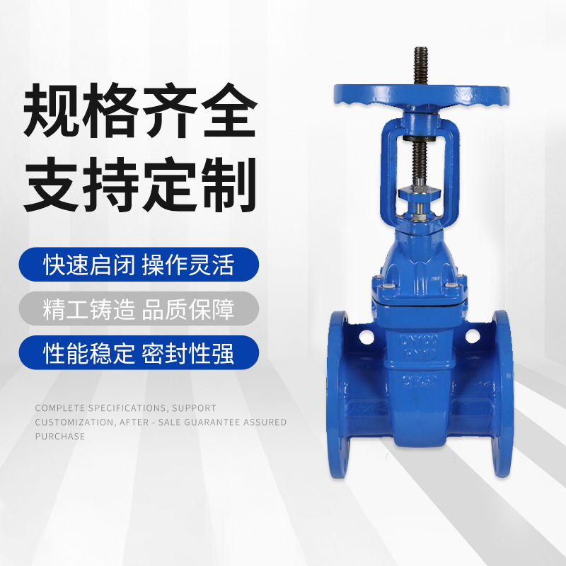 防护闸阀法兰不锈钢明杆