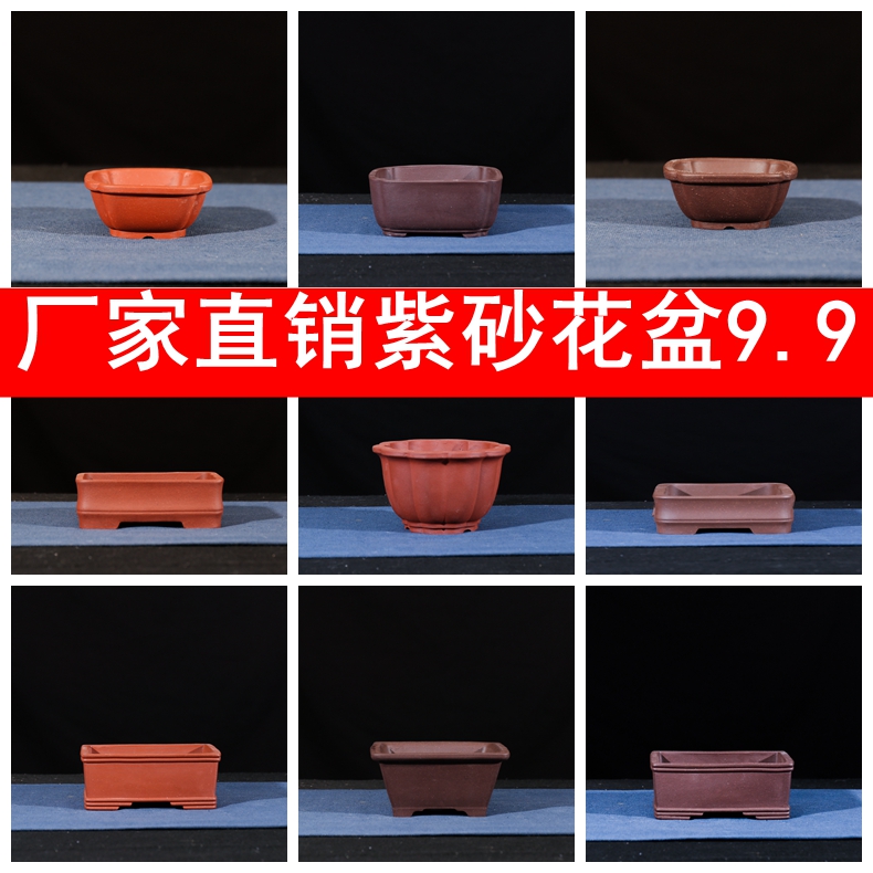 精品紫砂花多肉小盆长方