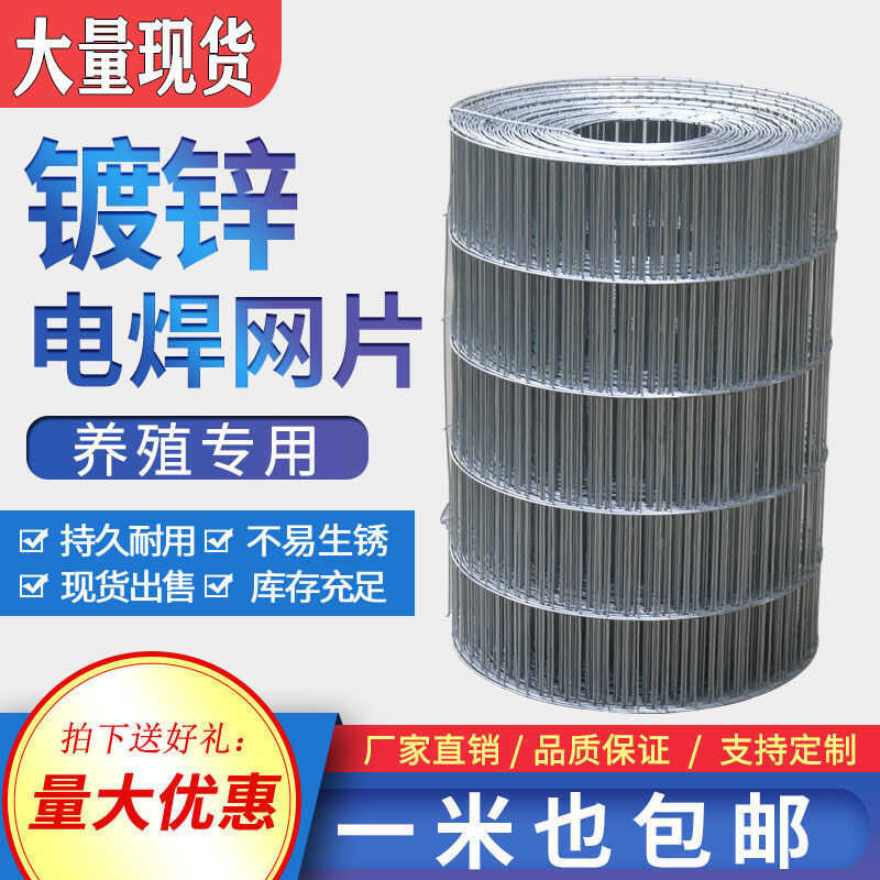 镀锌铁丝网围栏钢丝长孔养殖防鼠防护鸽舍铁网格网鸽笼子鸟笼网片