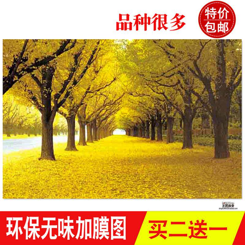 黄金大道满地卧室墙上壁