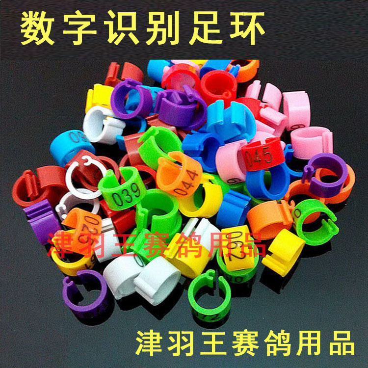 津羽王卡口数字识别环鸽