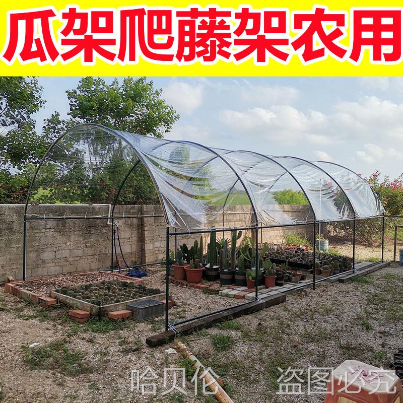 瓜架爬藤架农用搭棚架子钢管U型种菜攀爬架6米防雨养花雨棚