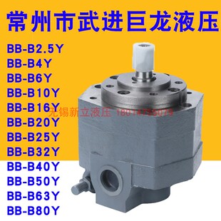 B16Y B50Y B63Y B100Y带安全阀 武进巨龙液压油泵BB B80Y B25Y