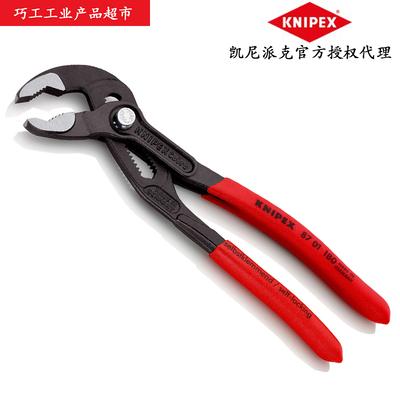 德国凯尼派克系列寸水泵