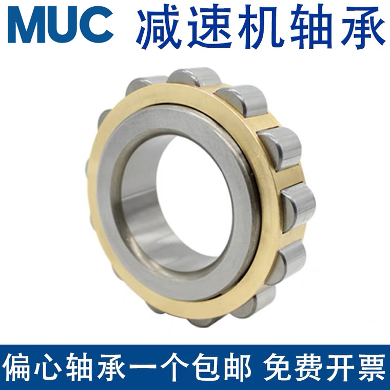 减速机偏心圆柱滚子轴承RN204 205 206 207 208 209 219 222 228M