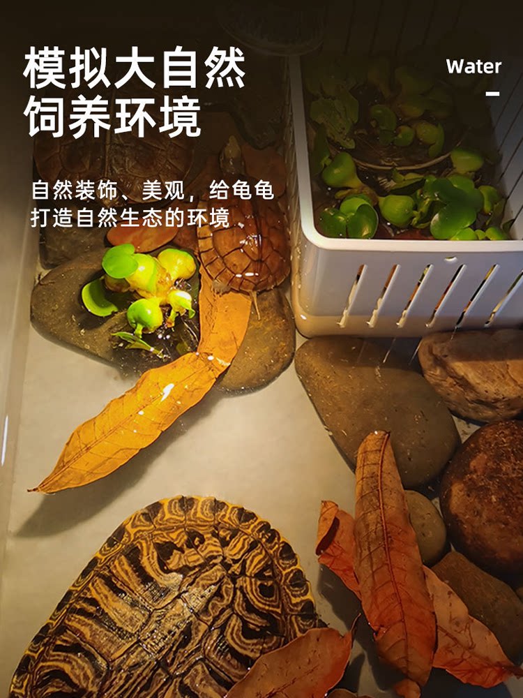 乌龟龙眼叶免煮腐皮烂甲躲避屋龟用养龟懒人叶鱼缸榄仁叶龟缸专用