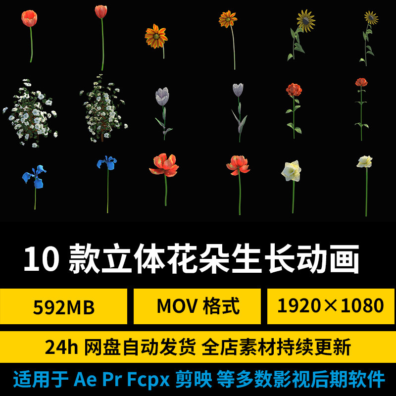 3d立体花朵生长绽放开花郁金香水仙盛开mov动画pr/fcpx视频ae素材
