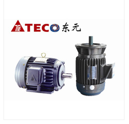 TEC0东元三相异步电动机感应马达变频1.5KW-380V4级卧室立式AEEF