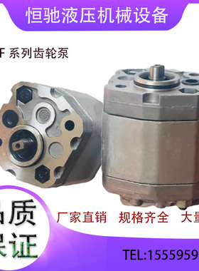 叉车齿轮油泵CBU-F110BL CBK-F120BL CBU-F1019 CBU-F1075液压泵