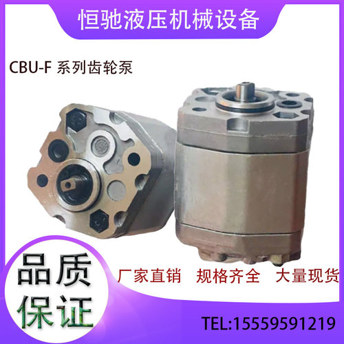 叉车齿轮油泵CBU-F110BL CBK-F120BL CBU-F1019 CBU-F1075液压泵