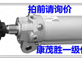 康茂盛（康茂胜）【CAMOZZI】CL2A50A100 CL2A40A100 CL2A80A100