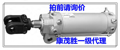 康茂盛（康茂胜）【CAMOZZI】CL2A50A100 CL2A40A100 CL2A80A100