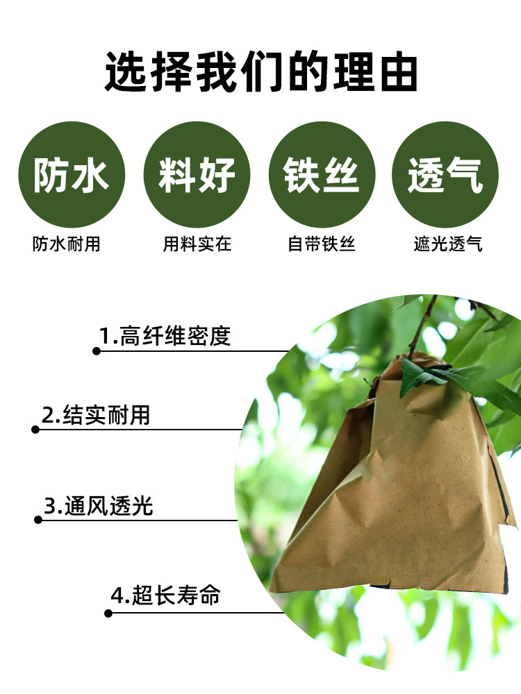 桃子专用套袋水蜜桃黄桃冬桃蟠桃芒果防水防虫水果套袋黄金奈果袋
