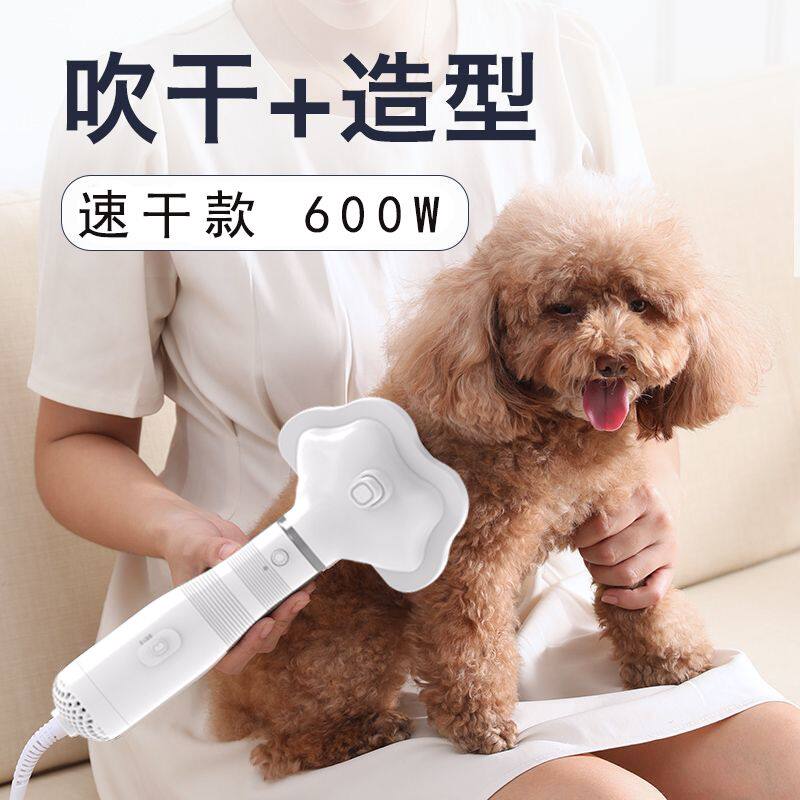 宠物吹风拉毛神器狗狗拉毛机猫咪一体泰迪吹风机洗澡美容吹干专用