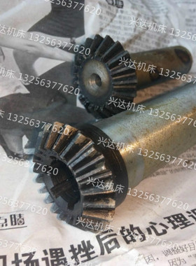 鲁南威达X6036X5036BX5032X6032铣床伞齿轮Z20/20齿Z19/19伞齿轮