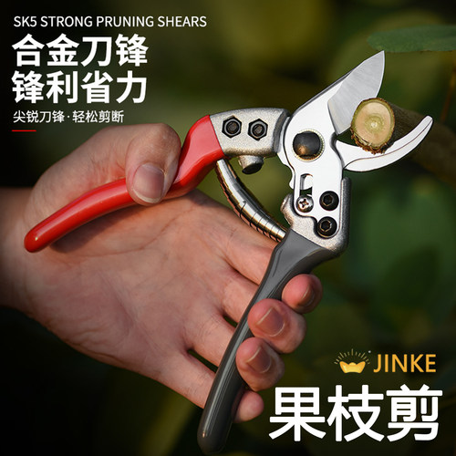 果枝剪园艺剪修枝剪园林省力花枝剪刀花剪果树修剪树枝花艺剪子