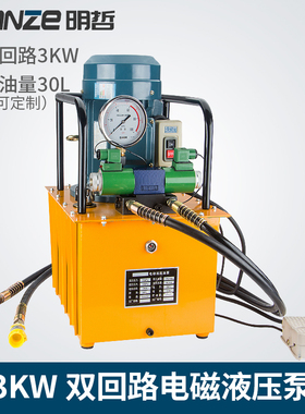 3KW电动液压泵DB300-D2B双电磁阀脚踏泵 油压机双回路液压机
