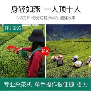 电动采茶机茶农家用锂电池充电式绿篱修剪机小型手持茶叶采摘神器