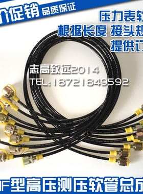 高压测压软管Spradow9-946-03-00-010 test hose DN03 W.P=630bar