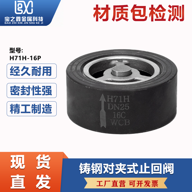 碳钢对夹式止回阀弹簧加