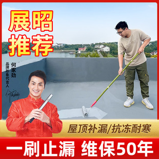 沃特浦防水补漏材料楼顶房顶聚氨酯放水涂料胶水屋顶裂维沥青修补