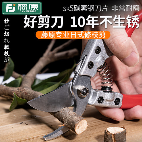 藤原剪枝剪刀园艺剪树枝果树果枝修枝剪园林花艺强力省力粗枝剪子