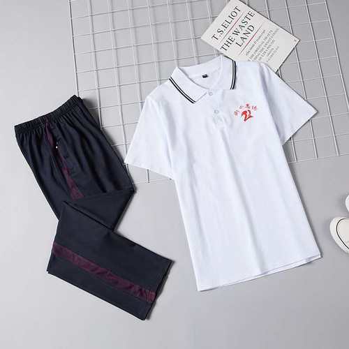 衡水二中志臻中学滨湖清河校服
